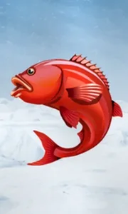 Ice Fishing